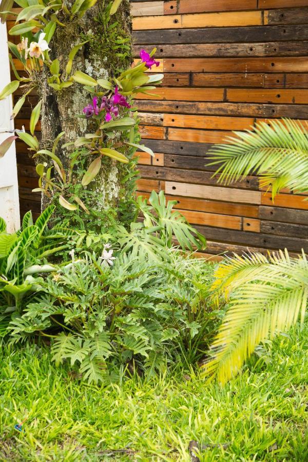 Casarao - Sp Homestay *